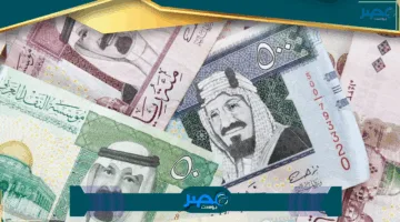 «قبل الحج» سعر الريال السعودي اليوم 25-5-2025 يثير تساؤلات وتحركات مفاجئة